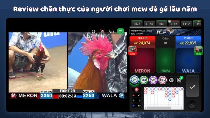 Review chân thực của người chơi mcw đá gà lâu năm