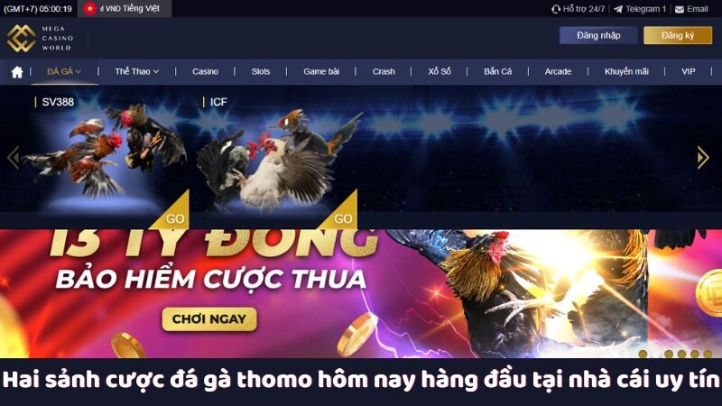 Hai sảnh cược đá gà thomo hôm nay hàng đầu tại nhà cái uy tín