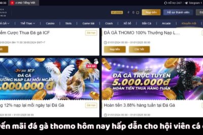 Đá Gà Thomo Hôm Nay – Giải Trí Cá Cược Đỉnh Cao Tại Website Đá Gà MCW