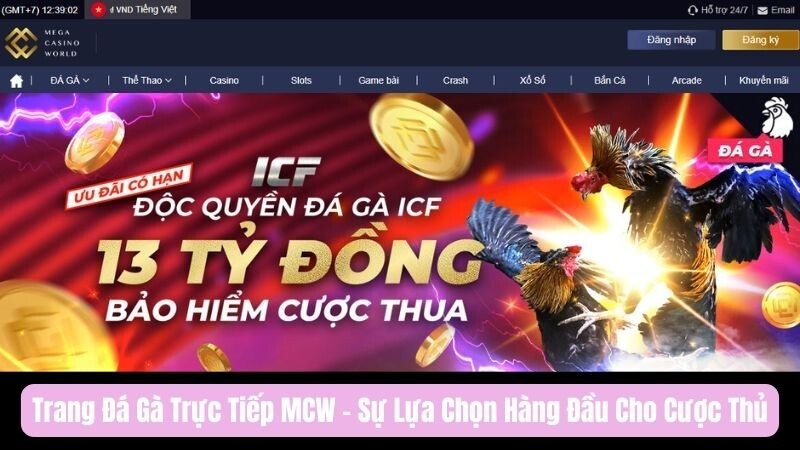 MCW - Nền tảng đá gà trực tiếp được ưa chuộng hiện nay