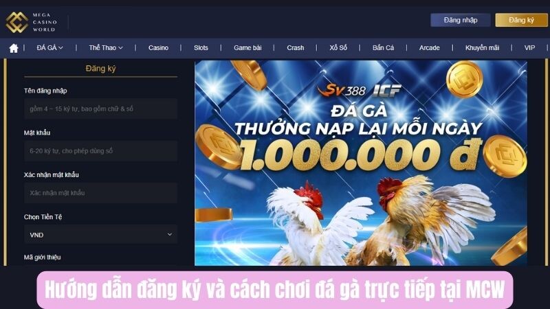 Hướng dẫn đăng ký và cách chơi đá gà trực tiếp tại MCW