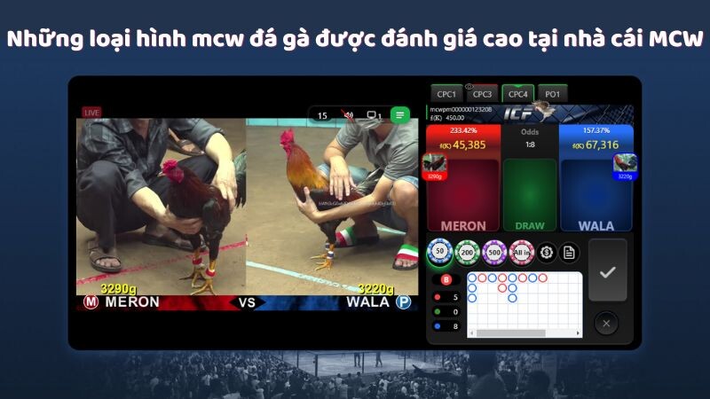 Những loại hình mcw đá gà được đánh giá cao tại nhà cái MCW