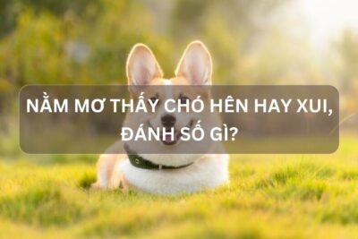 Nằm mơ thấy chó hên hay xui? Đánh số gì?