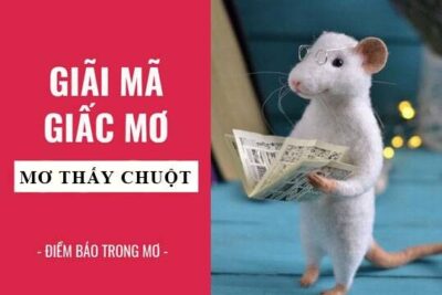 Giải mã trong giấc mơ thấy chuột và những con số may mắn