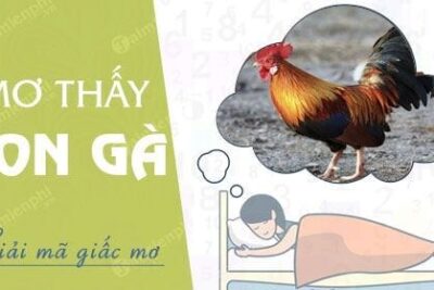 Mơ thấy gà có phải là điềm báo may mắn? Nên đánh gì?